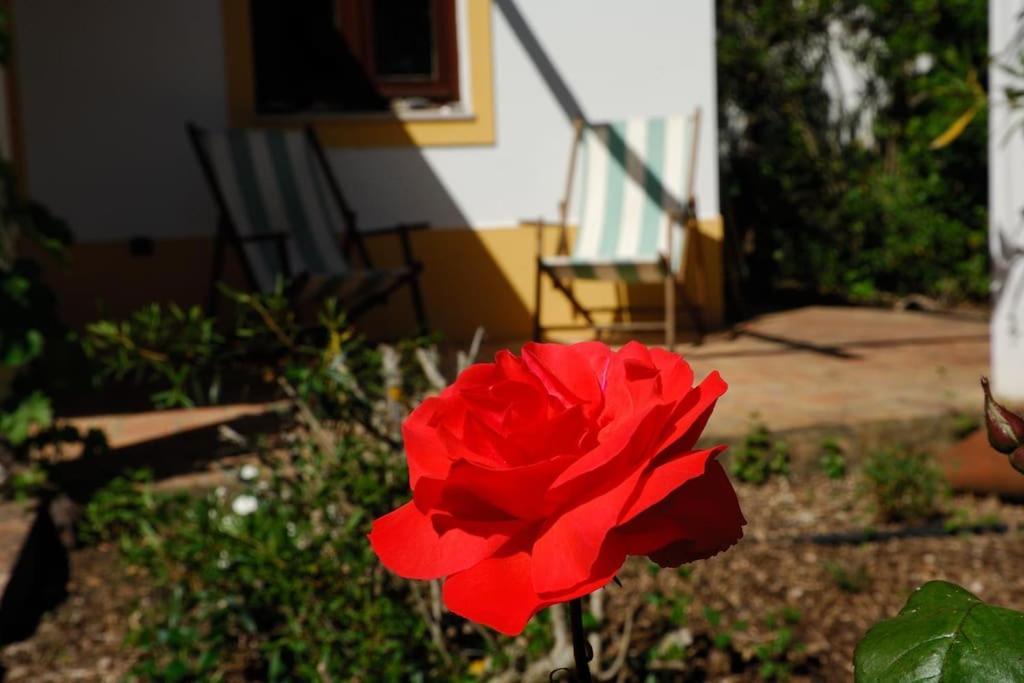 Vale Do Guizo: Casa Poente On The Contryside, Close By The Sea. Aljezur Exterior photo